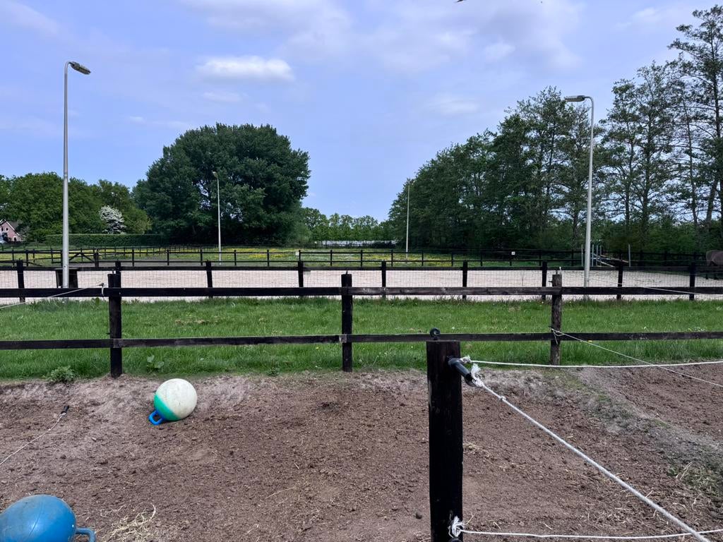 Pensionstal aangeboden, Dieren en Toebehoren