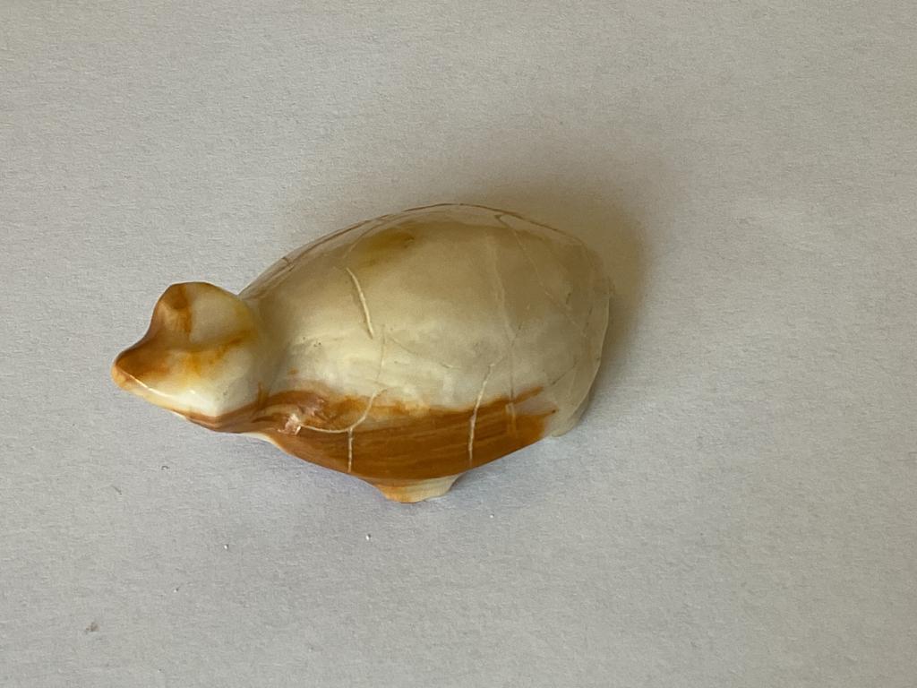 Onyx Schildpadje uit Mexico, Ophalen of Verzenden, Gebruikt, Dier