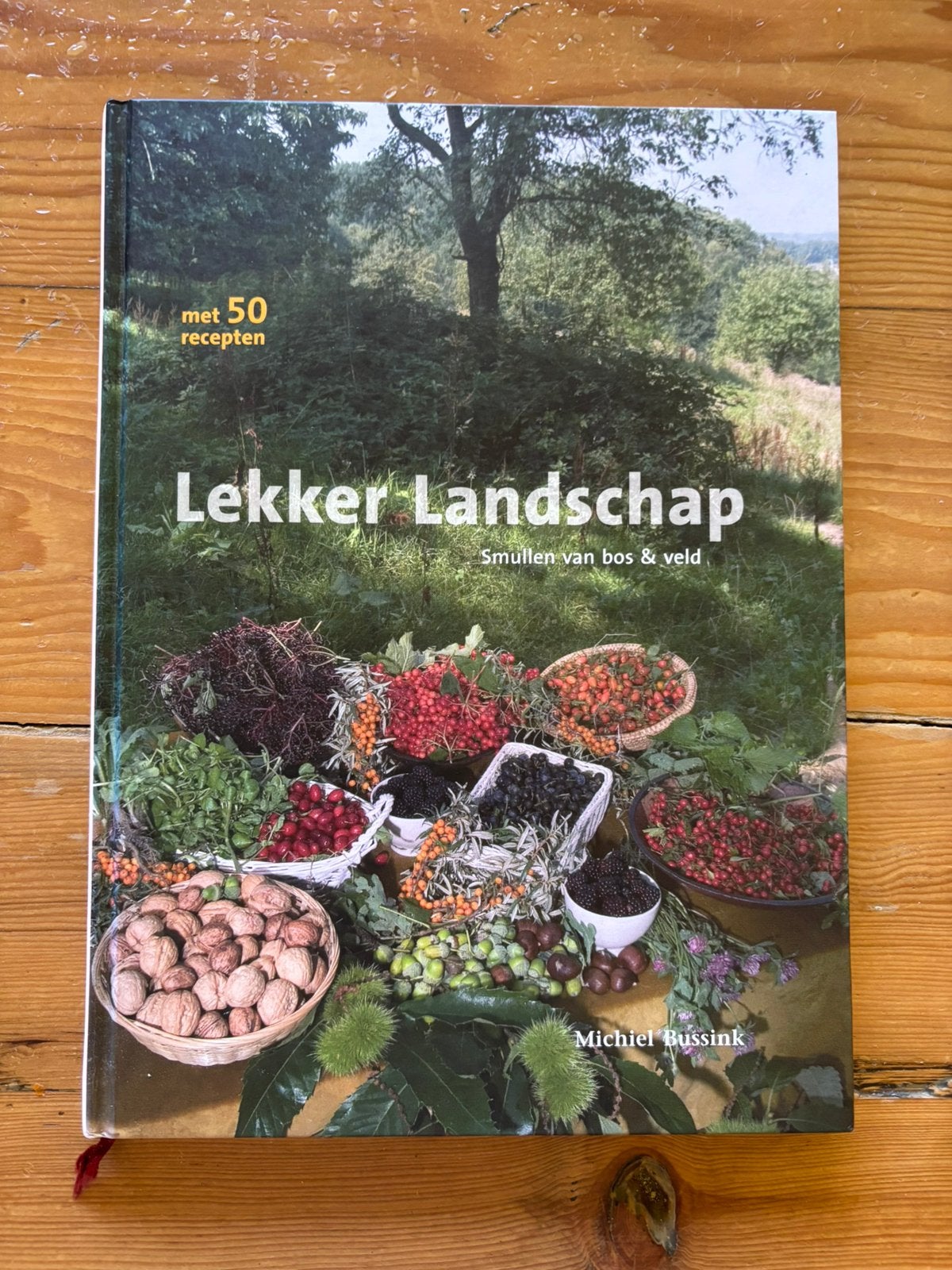 Lekker landschap - Michiel Bussink, Ophalen of Verzenden, Gelezen, Nederland en België