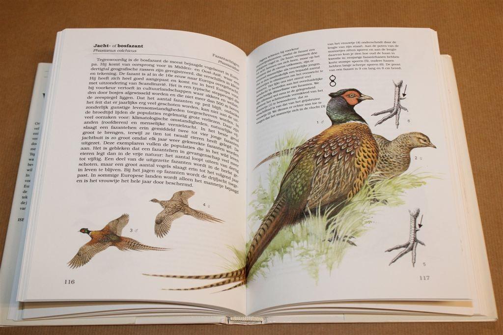 Wilde Dieren in Europa — Naslagwerk Fauna & Jacht Rebo, Ophalen of Verzenden, Gelezen, Overige diersoorten