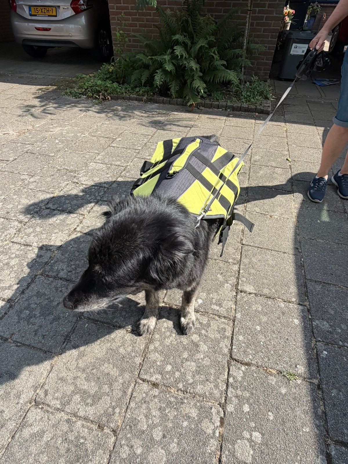 Honden zwemvest Trixie, Ophalen of Verzenden, Nieuw