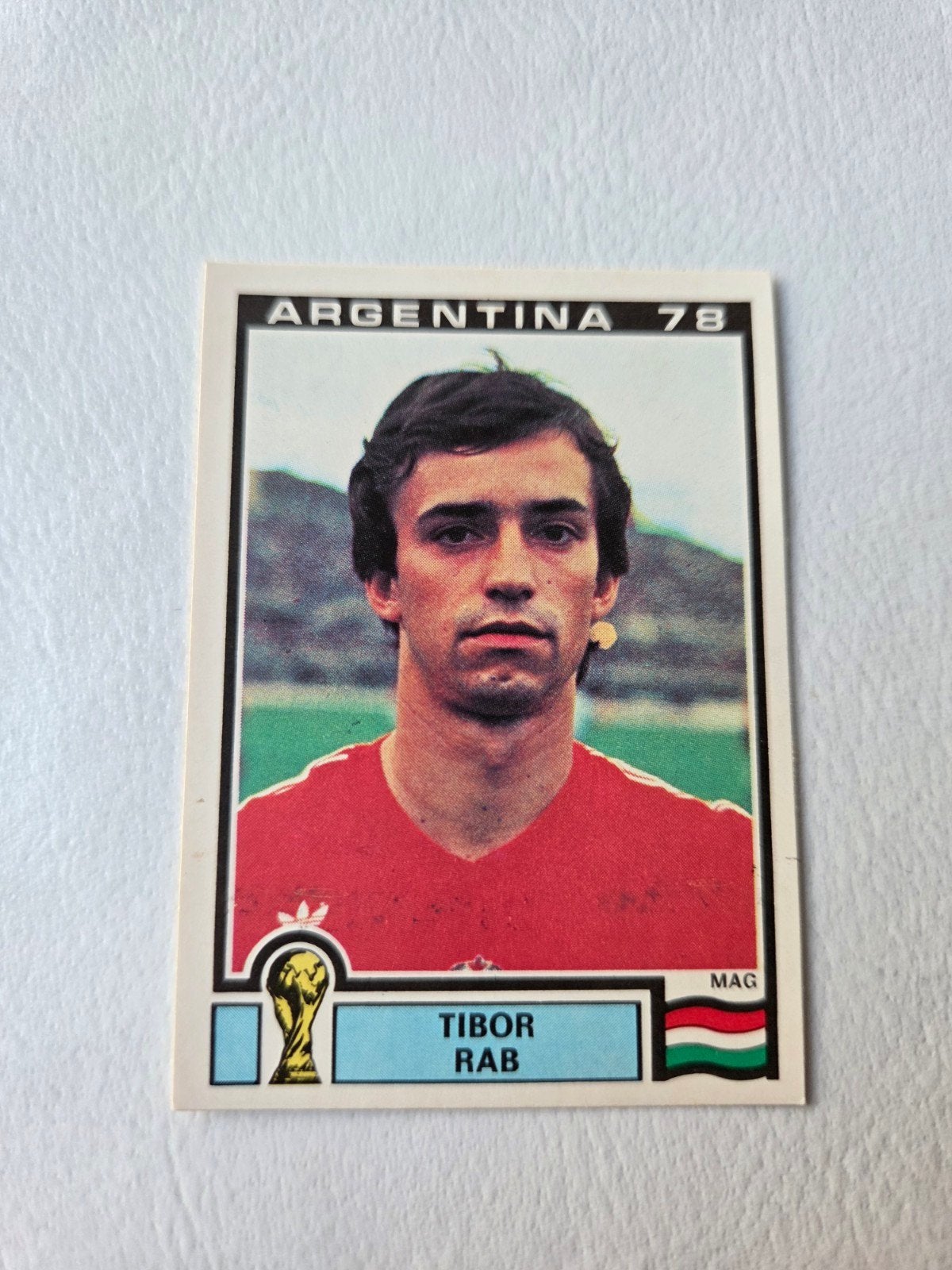 Panini WK 78, Verzamelen, Ophalen of Verzenden, Zo goed als nieuw, Buitenlandse clubs, Poster, Plaatje of Sticker
