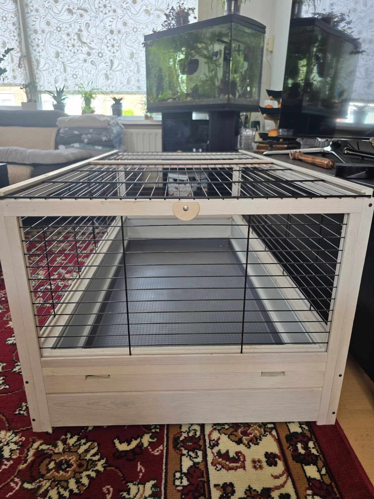 knaagdieren verblijf, Kooi, 110 cm of meer, Zo goed als nieuw, Ophalen