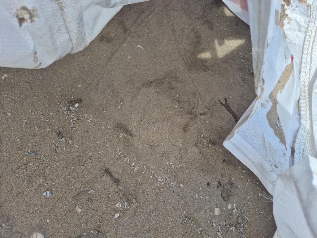 ophoog zand, Ophalen, Nieuw, Ophoogzand