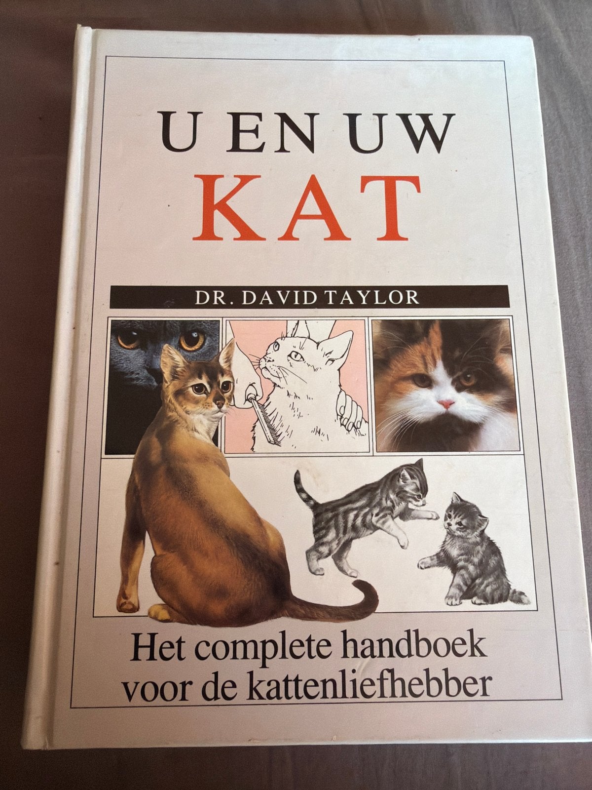 S5. U en uw kat complete handboek voor de kattenliefhebber, Ophalen of Verzenden, Zo goed als nieuw, Katten