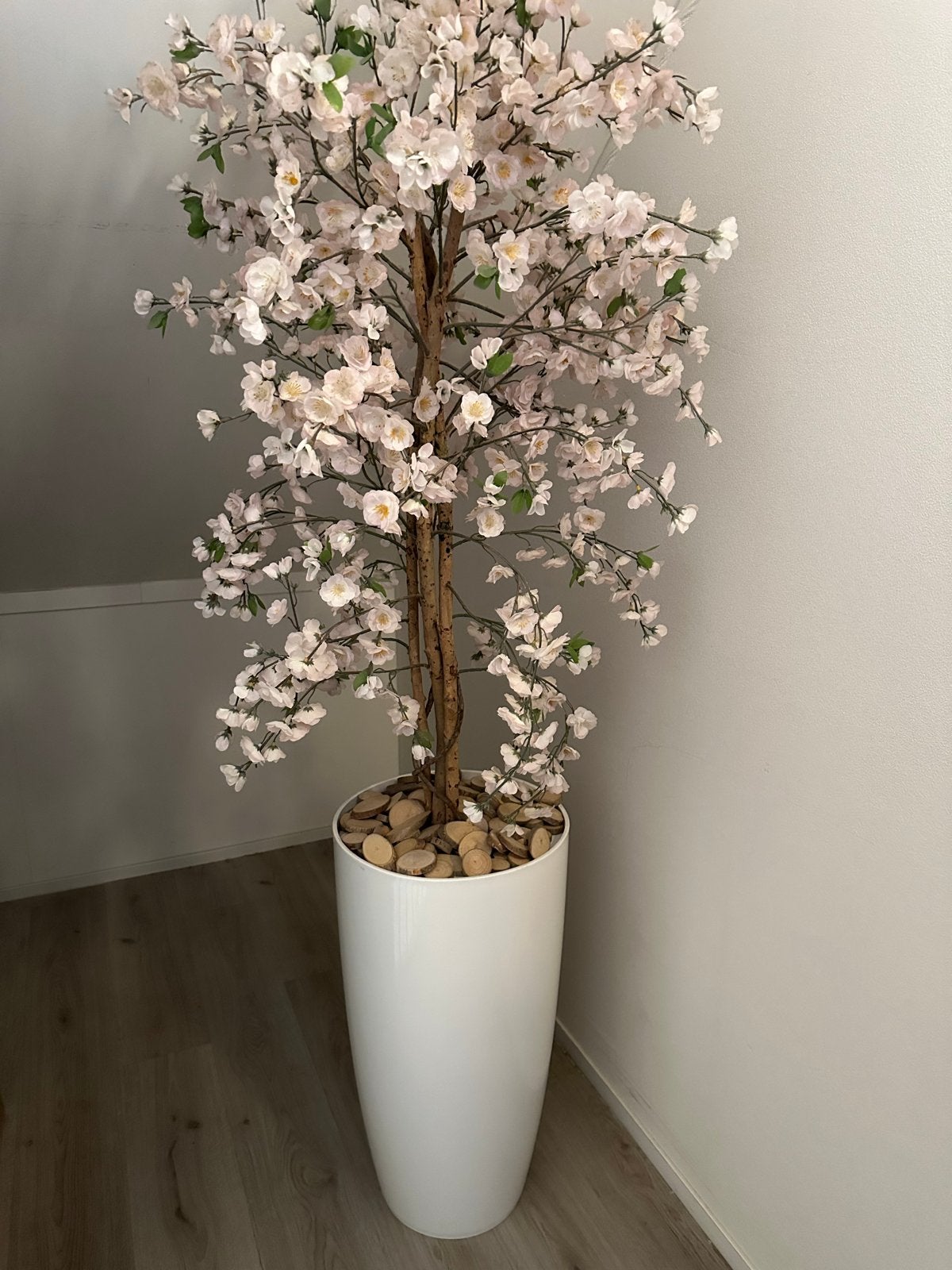 Grote bloesemboom ~2 meter met lichtroze bloemetjes en pot, Ophalen, Binnen, Gebruikt, Roze