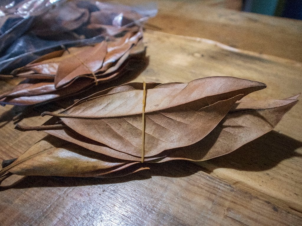 Botanicals: Magnolia grandiflora blad, Overige typen