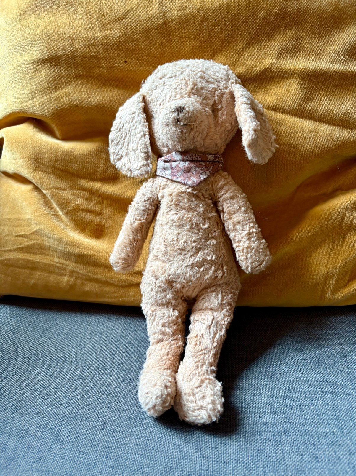 Maileg Knuffelhond poedel dusty powder 30 cm, Ophalen of Verzenden, Zo goed als nieuw, Hond