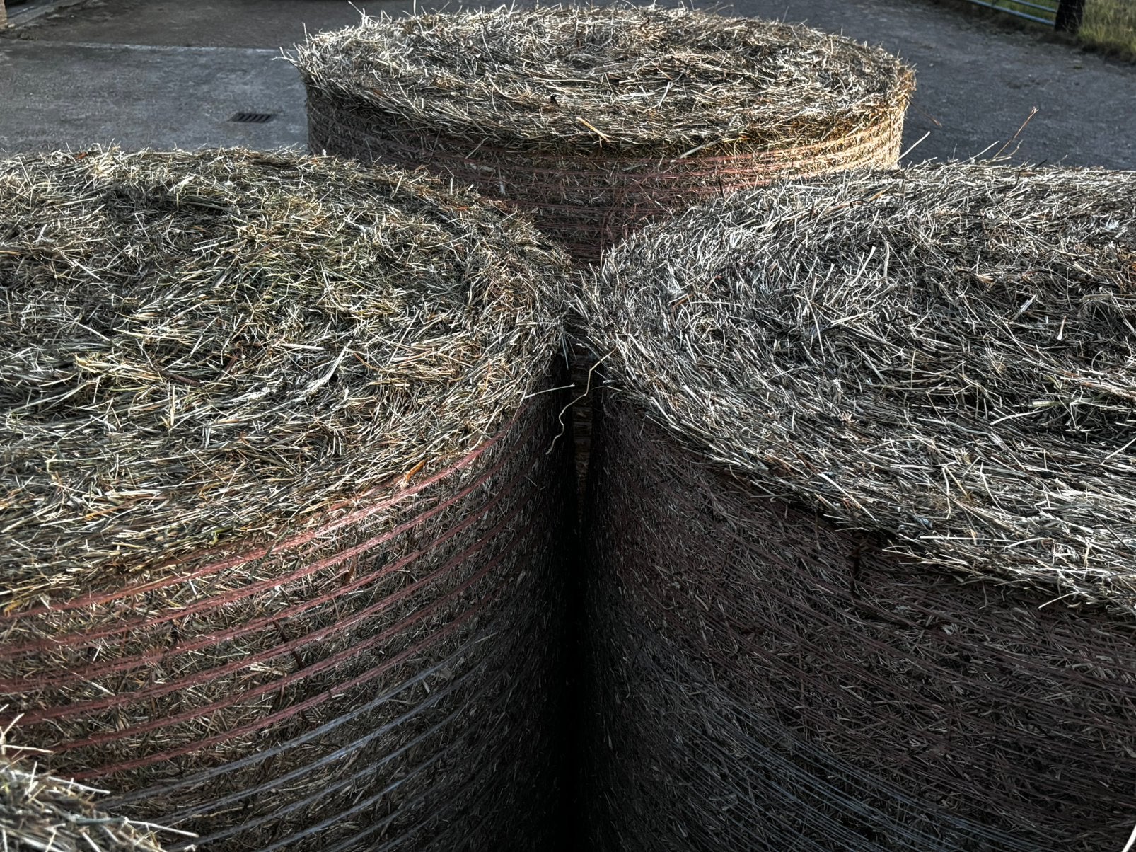 Hooibalen groot, Ophalen, Vee