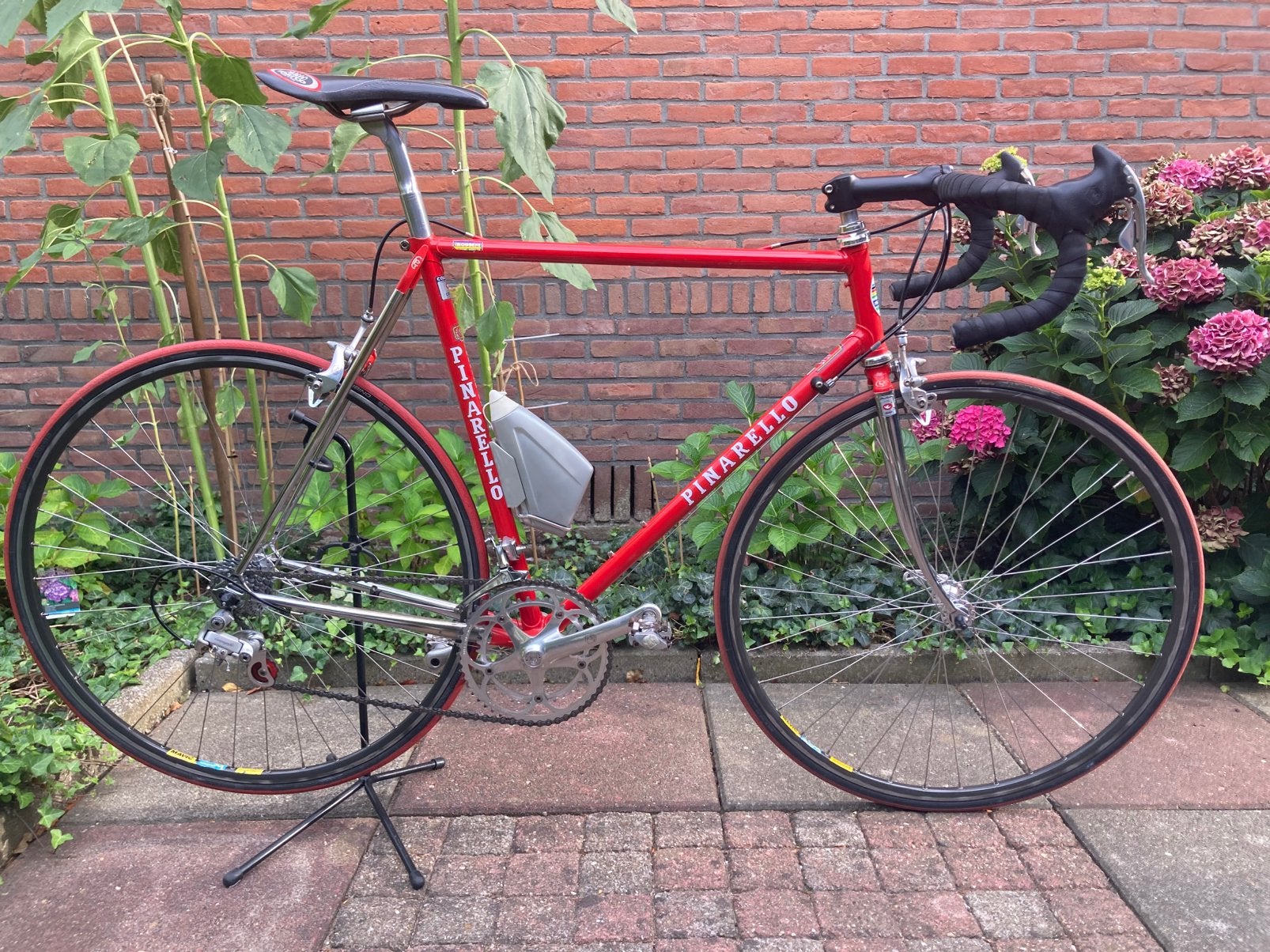 Pinarello Asolo | Campagnolo, Gebruikt, Staal, Velgrem, 15 tot 20 versnellingen