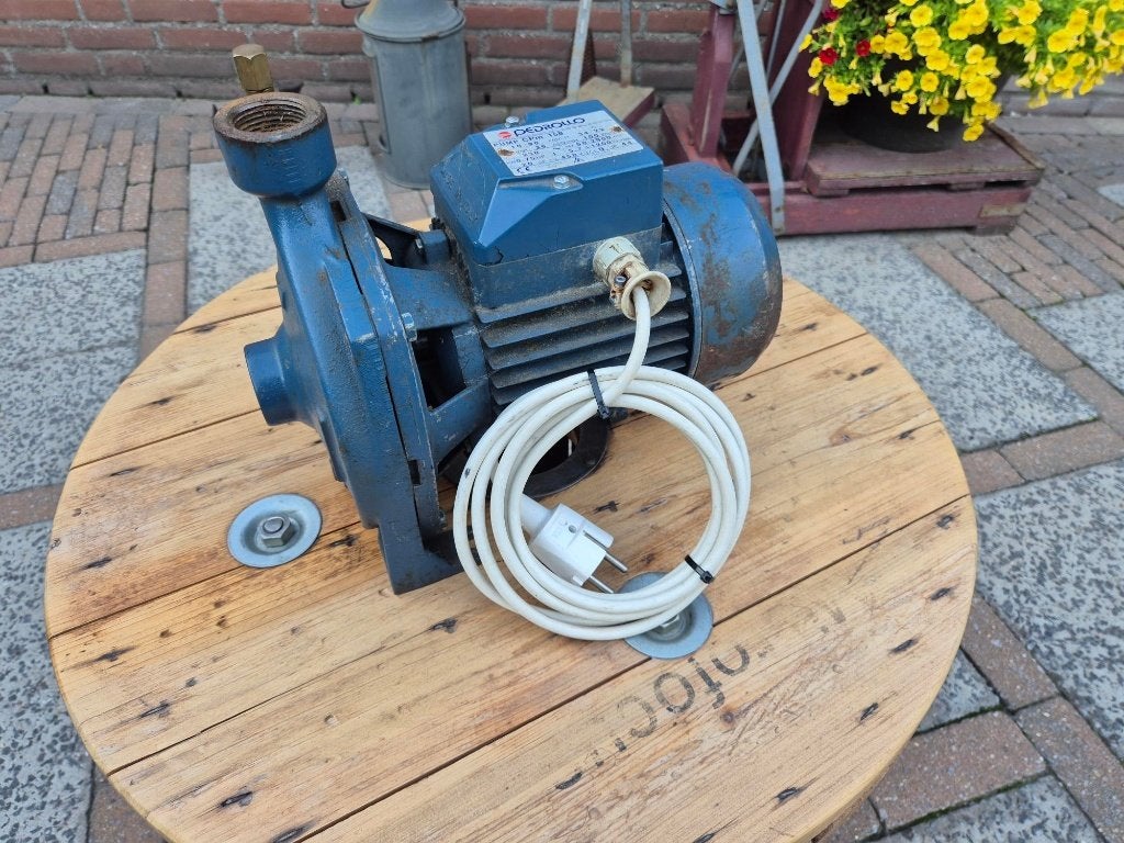 waterpomp beregeningspomp  Pedrollo, Ophalen, Gebruikt, Elektrisch, Beregeningspomp