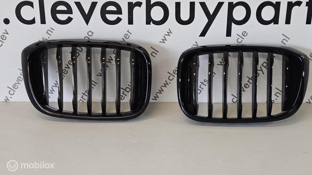 Overig origineel BMW X3 G01 ('17-'20) 8091725 -8091726, Gebruikt, Ophalen of Verzenden, BMW, BMW