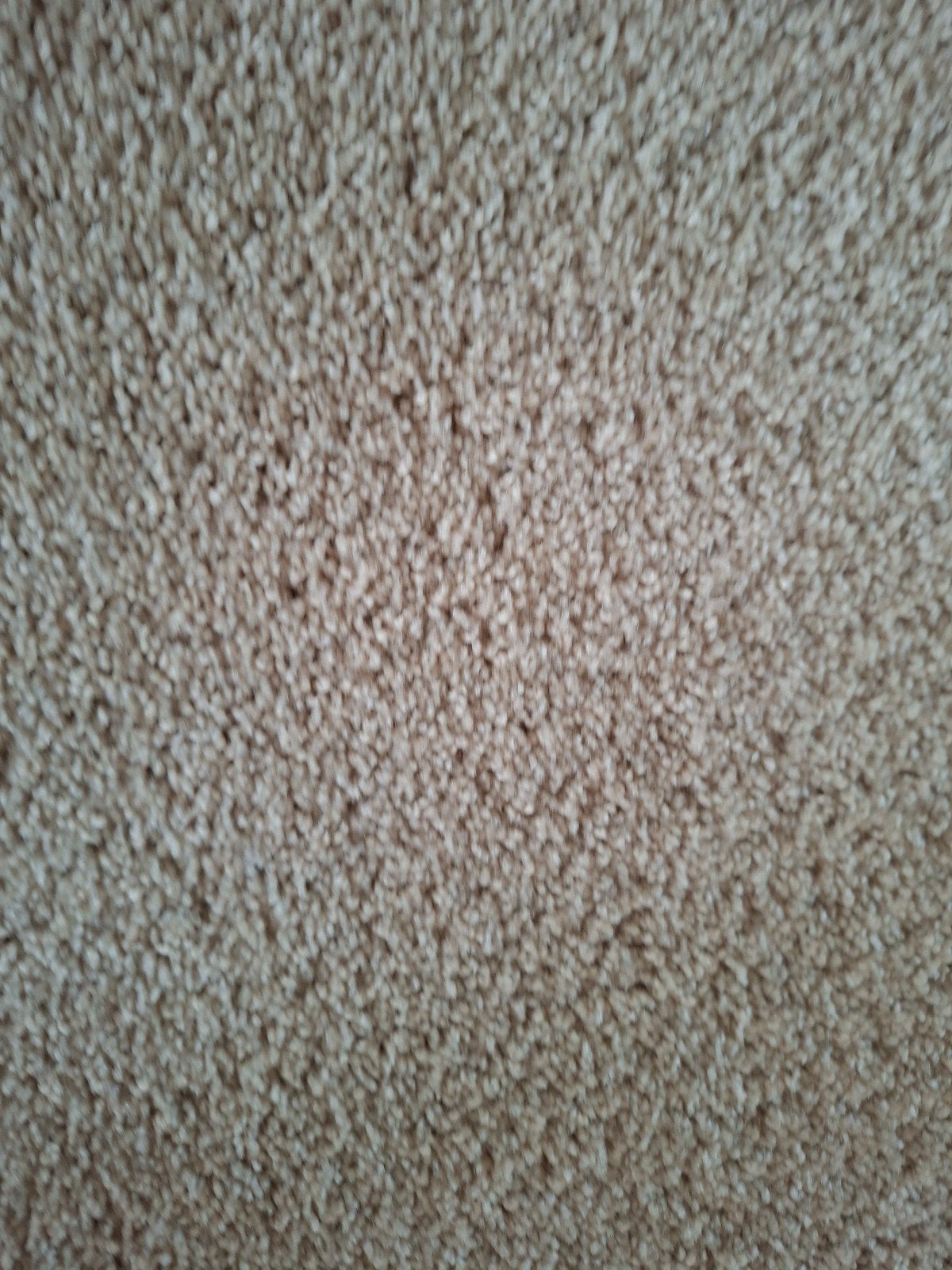 Grijze hoogpolig vloerbedekking, Ophalen, 120 cm of meer, 200 cm of meer, Zo goed als nieuw