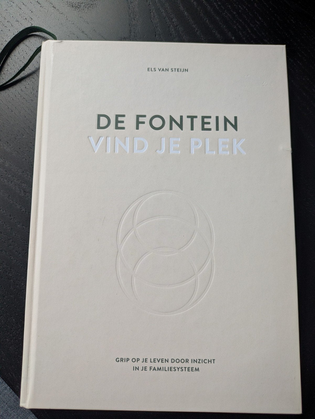 De Fontein:  - Els van Steijn 18e druk april 2025, Niet van toepassing, Ophalen of Verzenden, Zo goed als nieuw, Els van Steijn