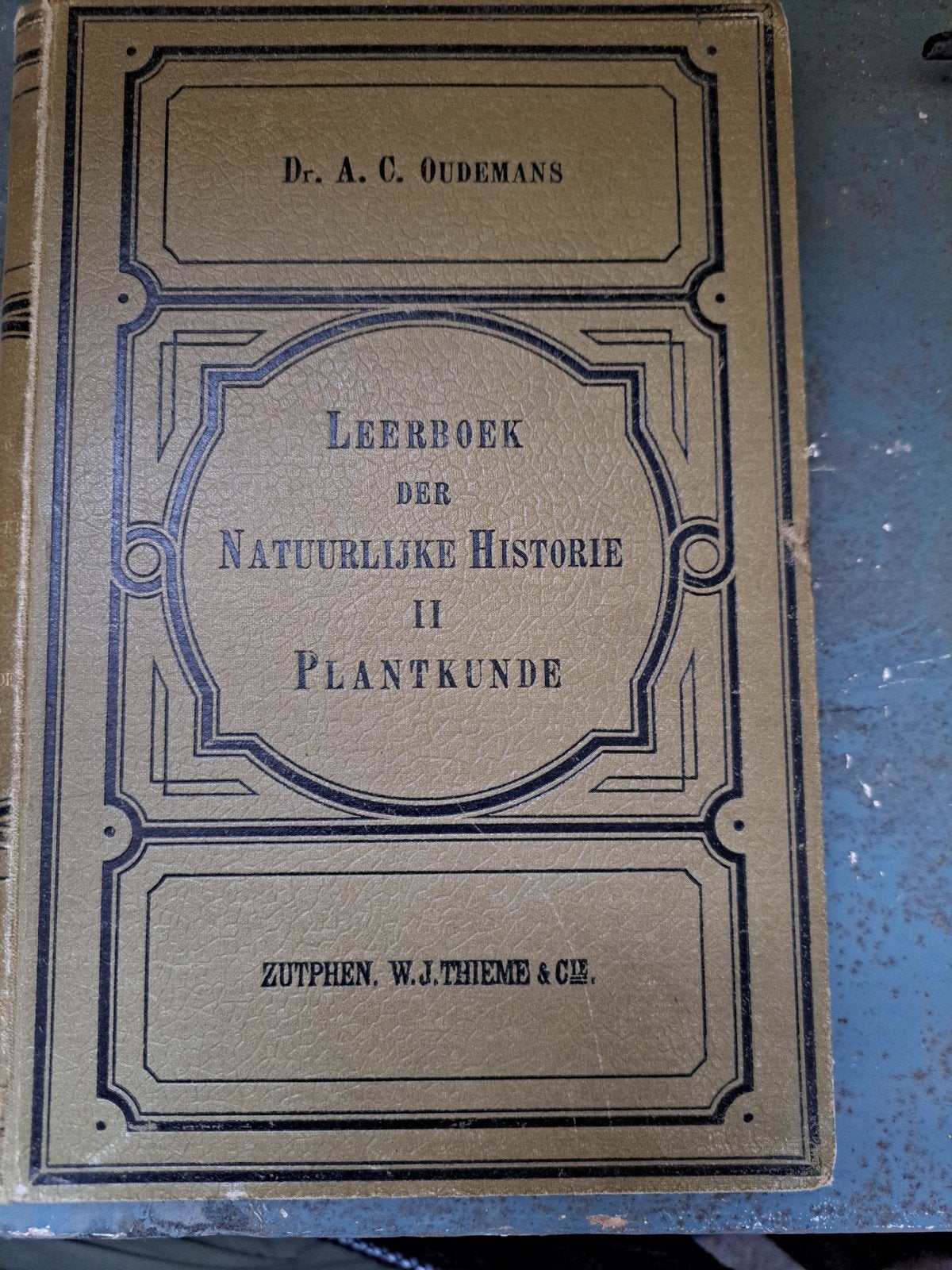 Leerboek der Natuurlijke Historie II Plantkunde (1902), Ophalen of Verzenden, Beta, Gelezen