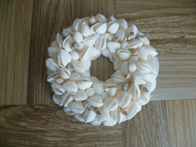 Schelpen krans 25 cm - Decoratieve wanddecoratie, Ophalen of Verzenden, Nieuw