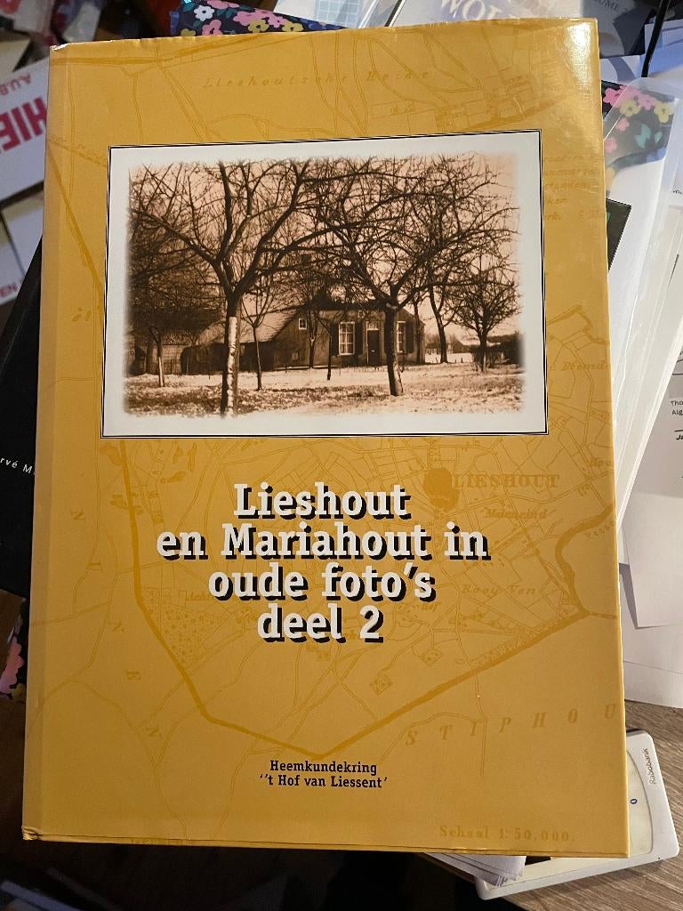 Lieshout en Mariahout in oude foto's deel 2, Ophalen of Verzenden, H. Bevers-van den Baar e.a., 20e eeuw of later, Gelezen