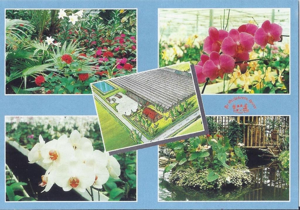 Luttelgeest Orchieeenhoeve Ongelopen Ansichtkaart ( B98), Ophalen of Verzenden, 1980 tot heden, Ongelopen
