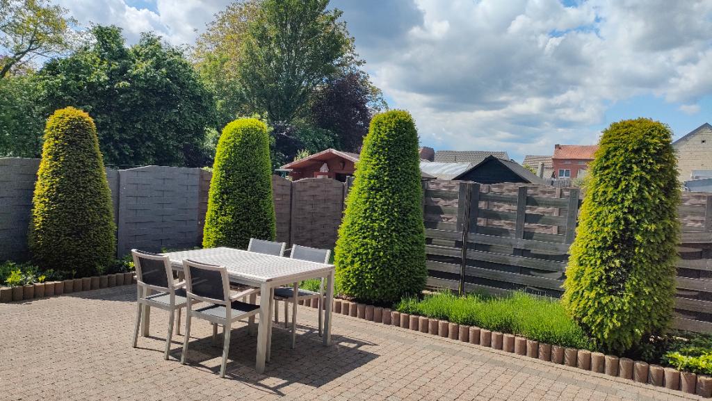 Taxus, Tuin en Terras, Ophalen, Bloeit niet, Halfschaduw, Overige soorten