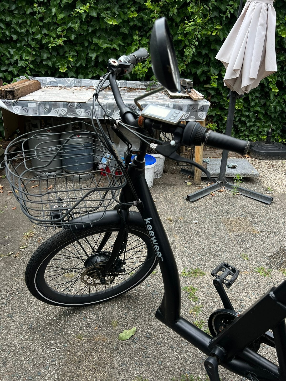 Elektrische driewieler, Fietsen en Brommers, Elektrische fietsen, Ophalen, Overige merken