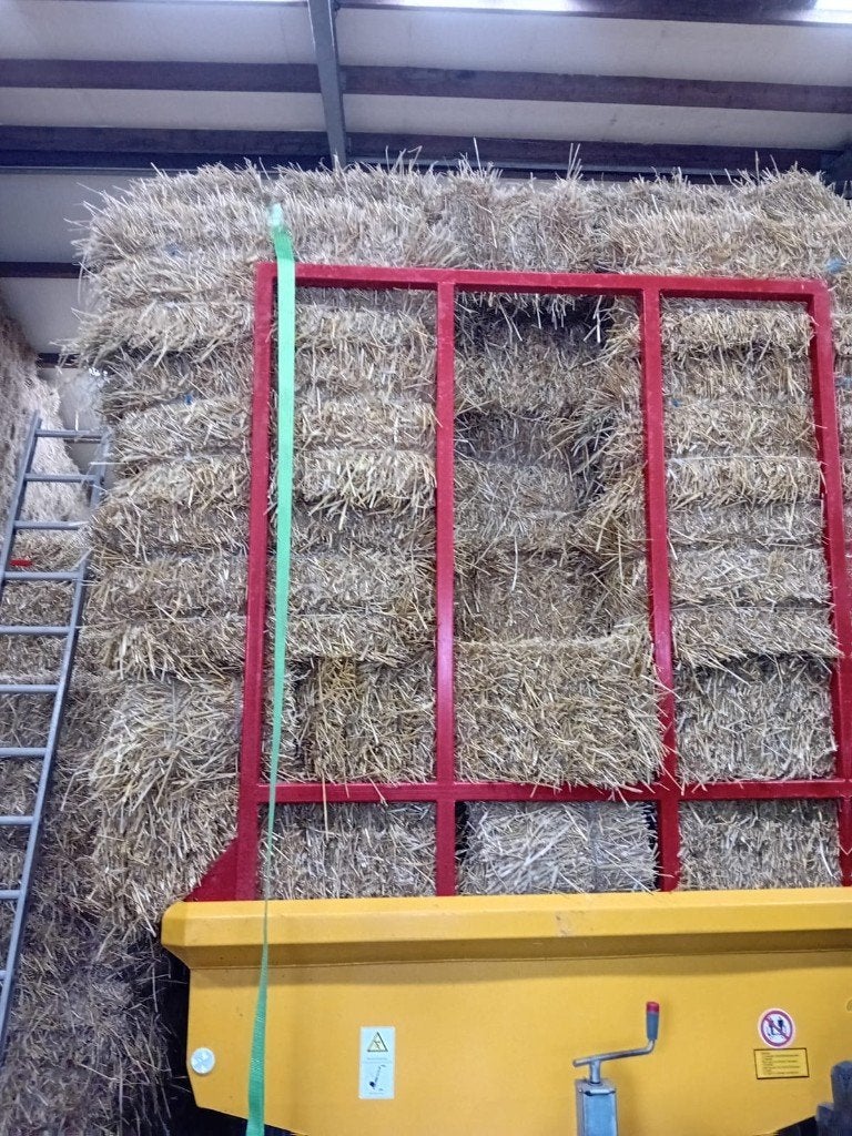 strobaaltjes te koop, Ophalen, Vee