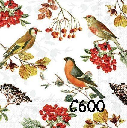 Servetten decoupage/bullet journal * vogels C600, Verzenden, Nieuw