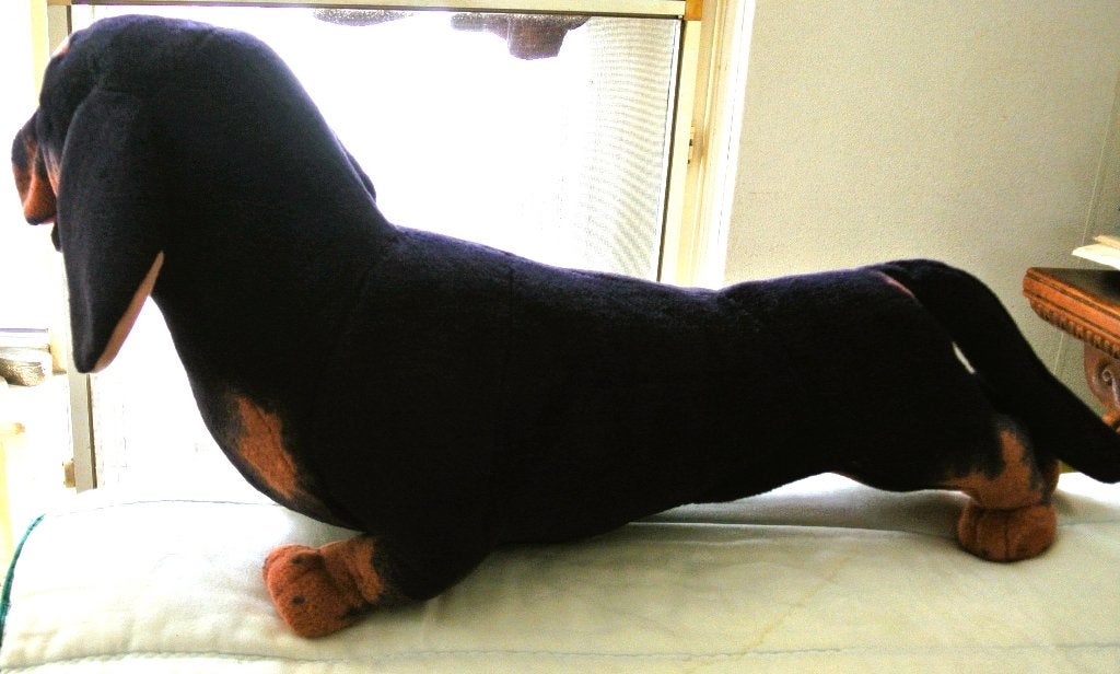 Hond grote Teckel knuffel woonstyle decoratief object, Ophalen, Gebruikt, Hond