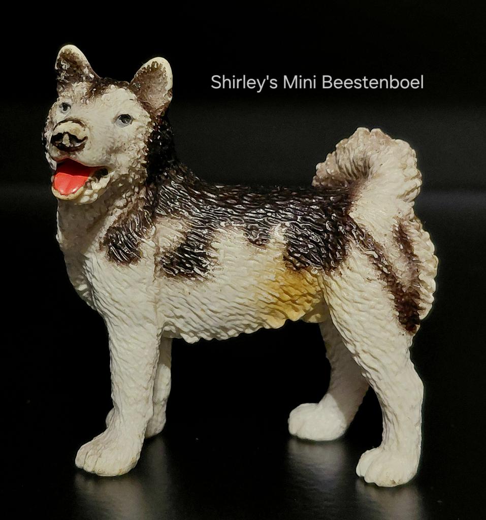 schleich husky, Ophalen of Verzenden, Gebruikt, Hond of Kat, Beeldje of Figuurtje