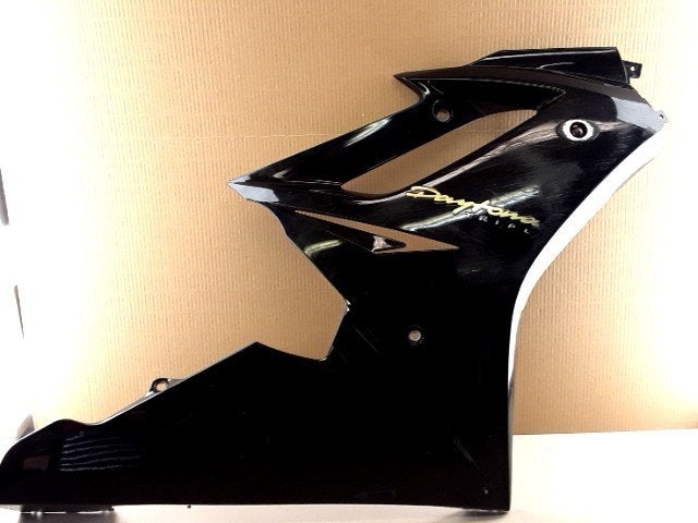 Daytona triple 675 2006 - 2008 Triumph Kuipdeel D1-34014