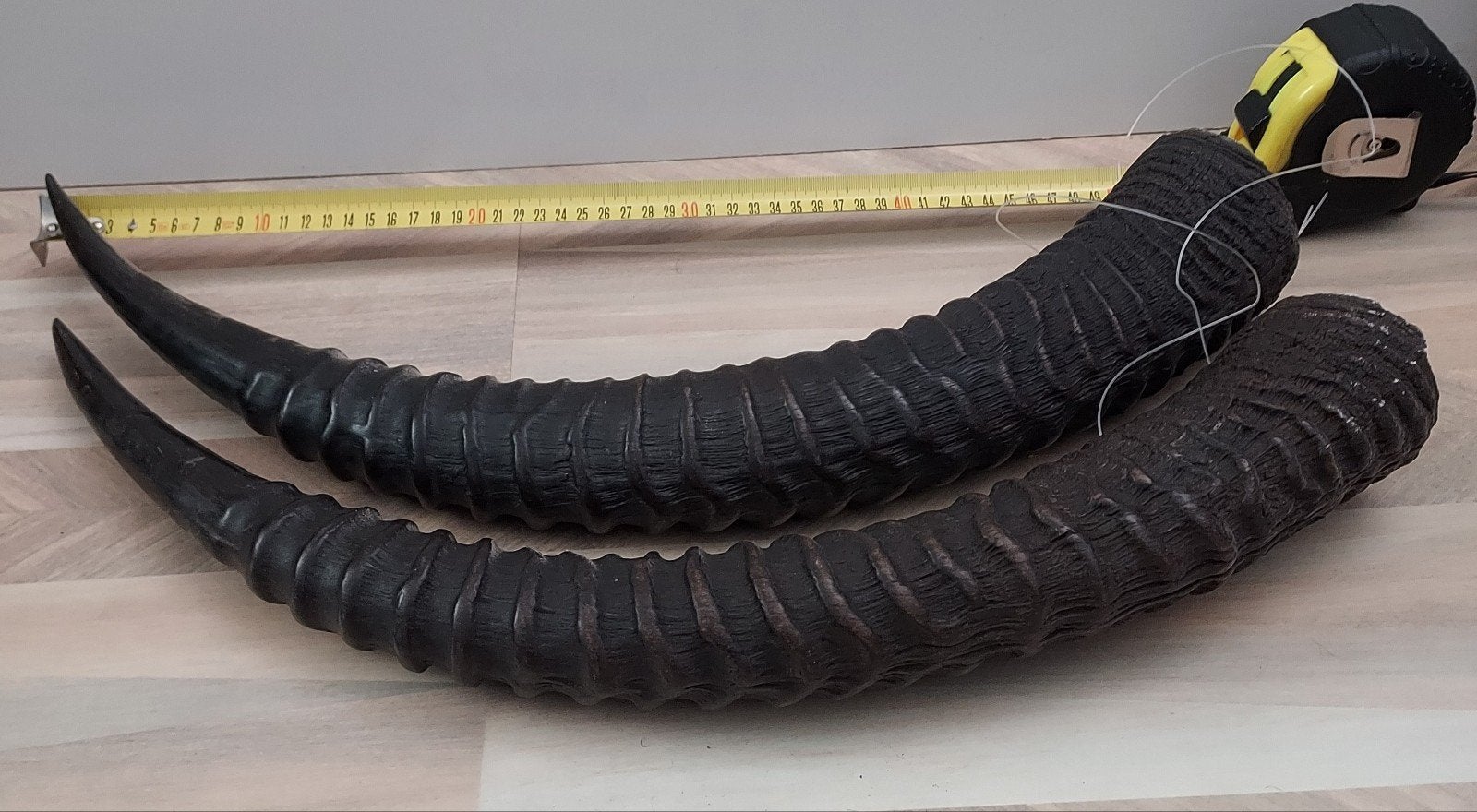 sabelantilope hoorns, Verzamelen, Dierenverzamelingen, Ophalen of Verzenden, Gebruikt, Hert, Gewei of Kop