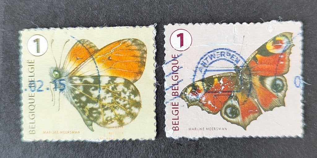 Belgie 0806006 vlinder, Verzenden, Gestempeld, Frankeerzegel, Overig
