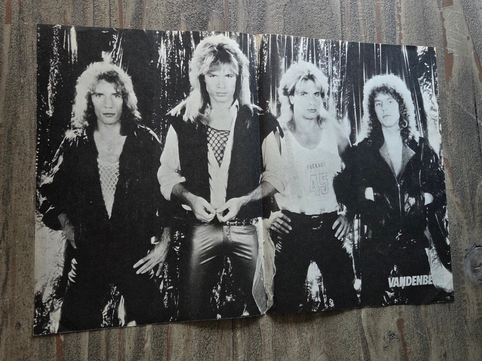 Vandenberg Zwart-Wit Band Poster, Ophalen of Verzenden, Zo goed als nieuw, Poster, Artwork of Schilderij