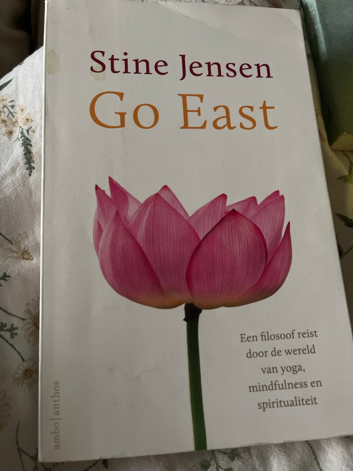 Go East - Stine Jensen (Yoga, Mindfulness, Spiritualiteit), Ophalen of Verzenden, Gelezen, Spiritualiteit algemeen, Achtergrond en Informatie