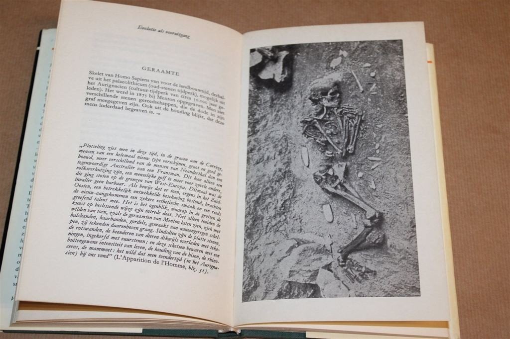 Teilhard de Chardin — Delfgaauw over Evolutie en Geloof, Ophalen of Verzenden, Gelezen