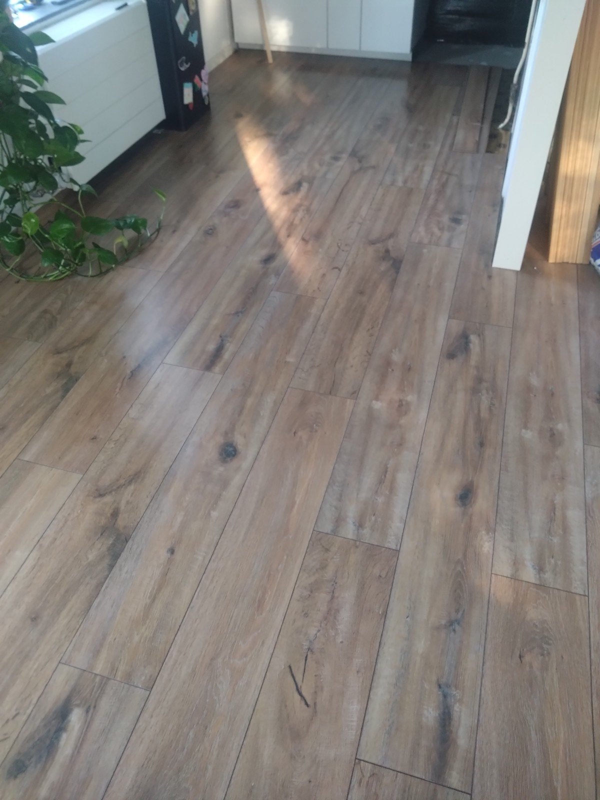 GRATIS laminaatvloer met ondervloeren 26m2, Ophalen, Gebruikt, 50 tot 150 cm, 10 m² of meer