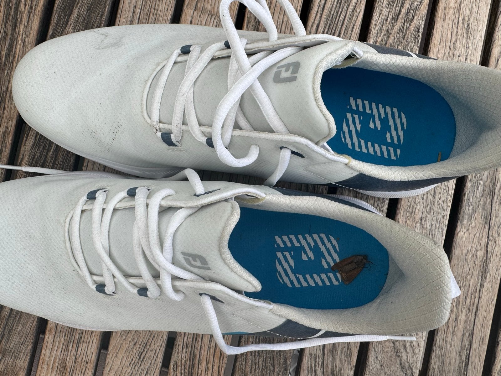 FootJoy golfschoenen maat 44, Sport en Fitness, Golf, Ophalen of Verzenden, Gebruikt, Schoenen, Overige merken