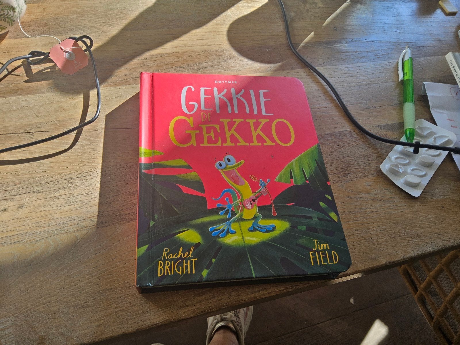 Gekkie de Gekko - Rachel Bright & Jim Field dik karton boekj, Boeken, Fictie algemeen, Rachel Bright & Jim Field, Jongen of Meisje