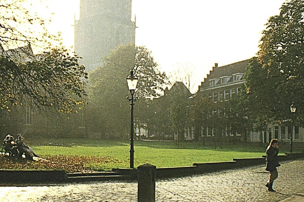 988442 Groningen 80+ _ Gelopen met mooie zegel Koe, Ophalen of Verzenden, 1960 tot 1980, Gelopen, Groningen