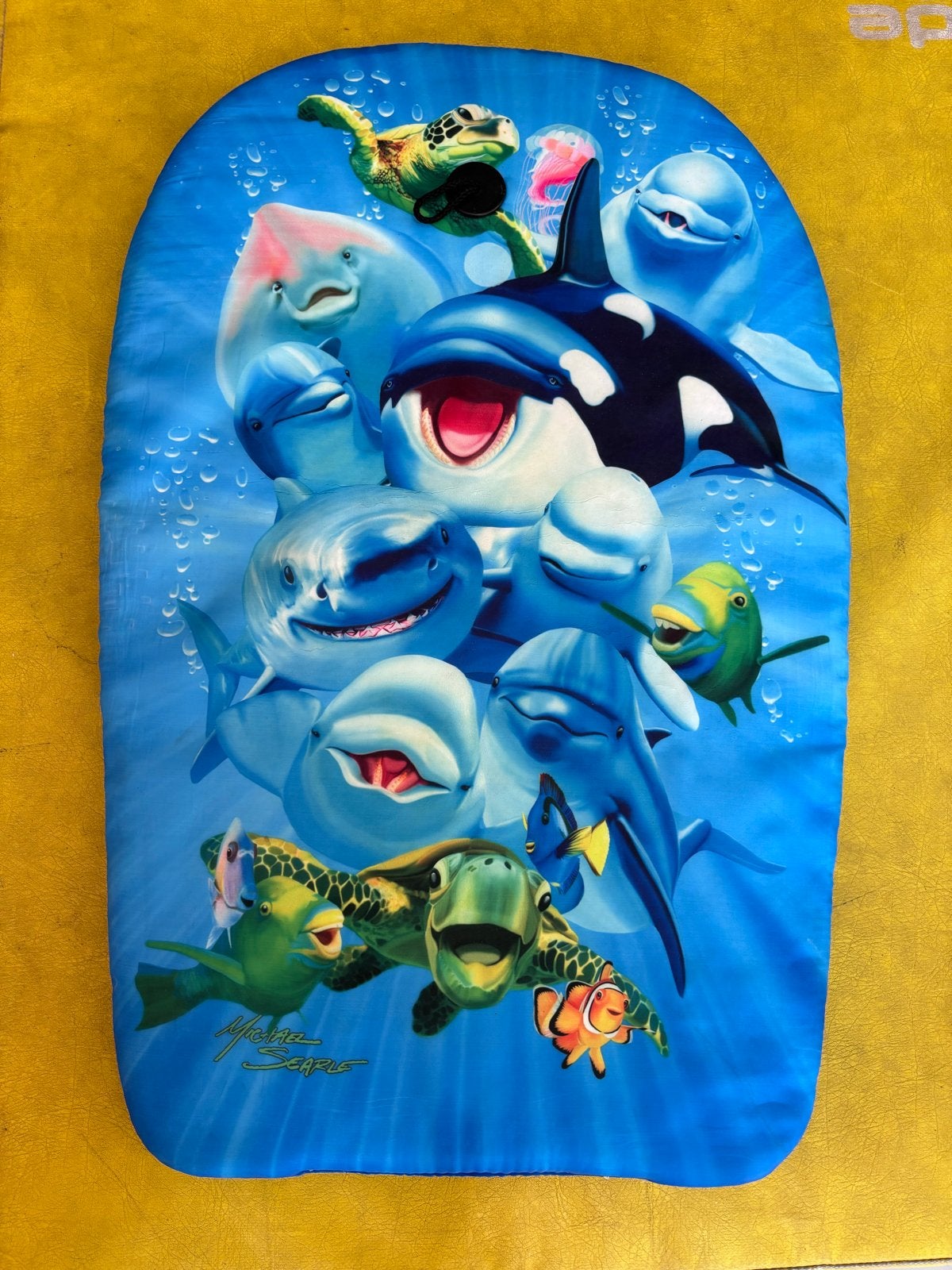 bodyboard met leuke print, Ophalen of Verzenden, Zo goed als nieuw, Overige typen