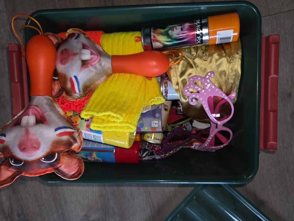 Carnavals asseccoires, sprays, brillen, beenwarmers etc, Ophalen of Verzenden, Jongen of Meisje