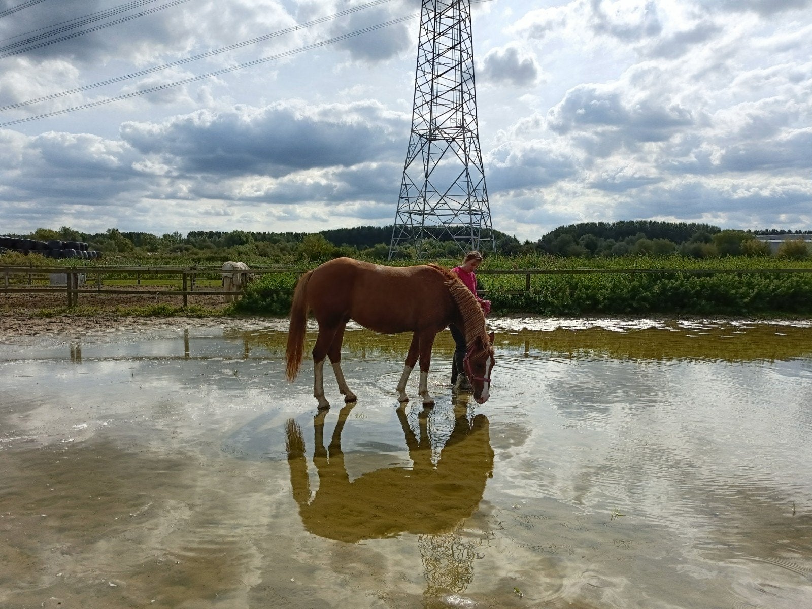 lieve kinderpony D 1.47, Ruin