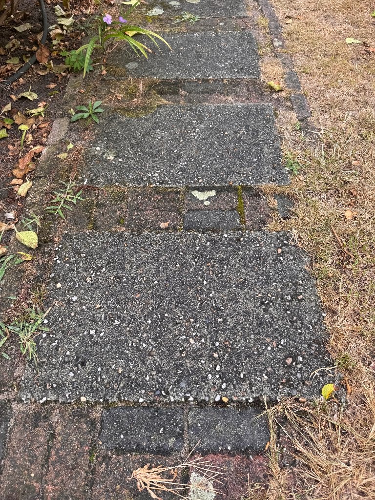 terrastegel en klinker, Tuin en Terras, Tegels en Klinkers, Ophalen, Gebruikt, 10 m² of meer, Beton