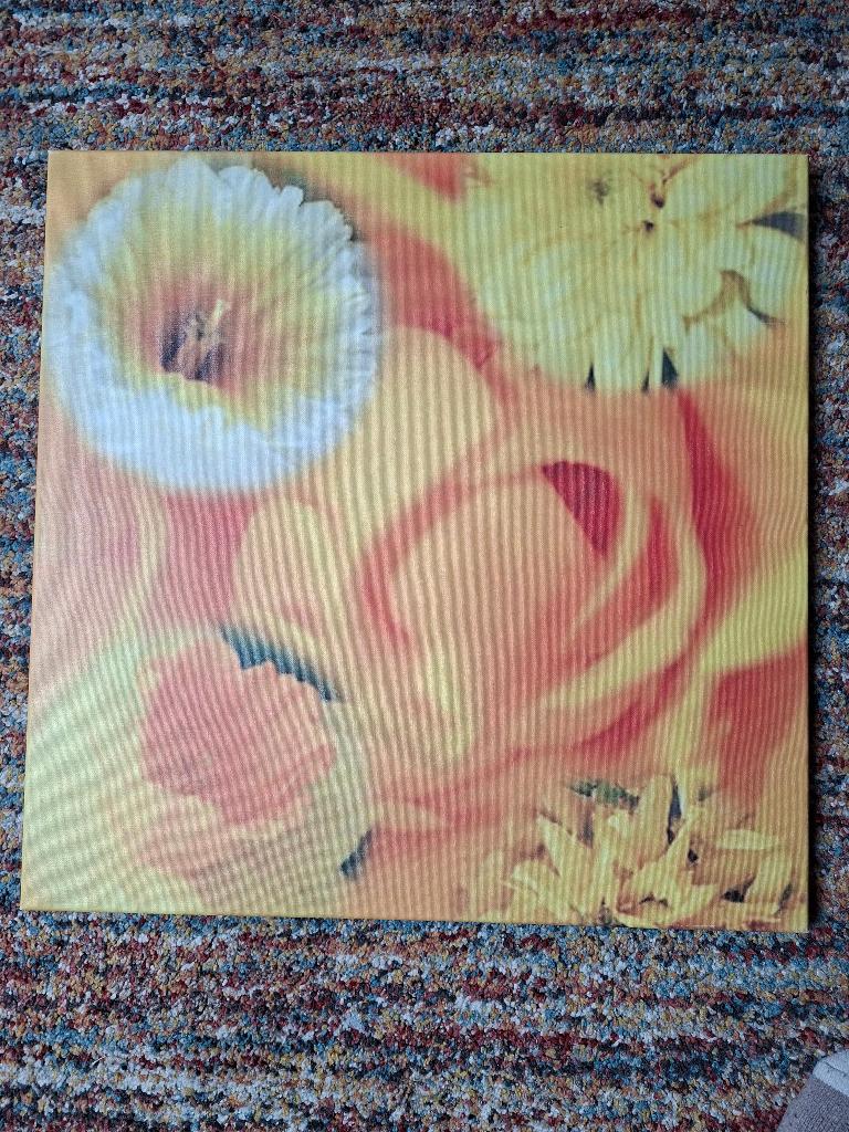 canvas poster. 60/60 cm. Oranje/Geel. Narcissen. Ikea, 50 tot 75 cm, Overige typen, Ophalen of Verzenden, Zo goed als nieuw