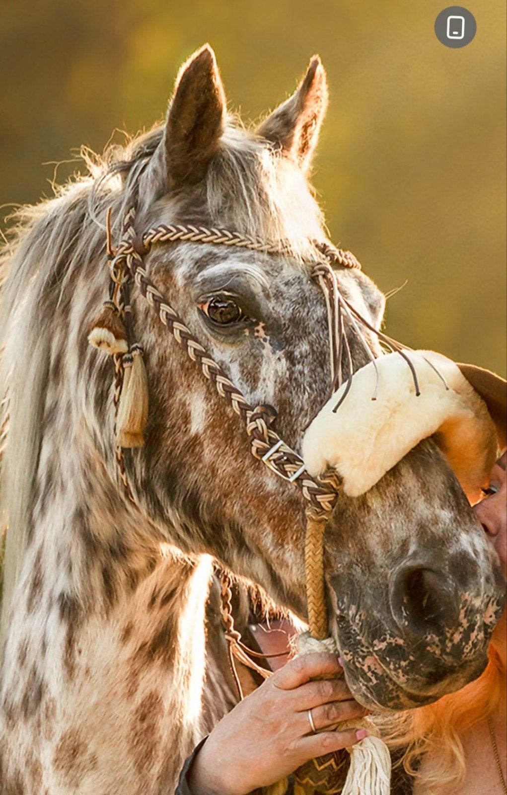 western hoofdstel geknoopt COB, Hoofdstel, Meerkleurig, Ophalen of Verzenden, Zo goed als nieuw