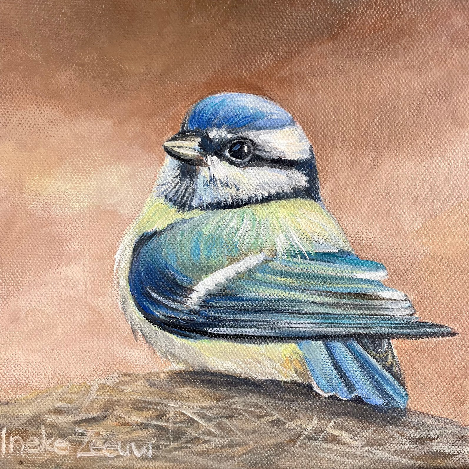Schilderij jonge pimpelmees uit eigen atelier, Huis en Inrichting, Minder dan 50 cm, Oorspronkelijke maker, Nieuw, Ophalen of Verzenden