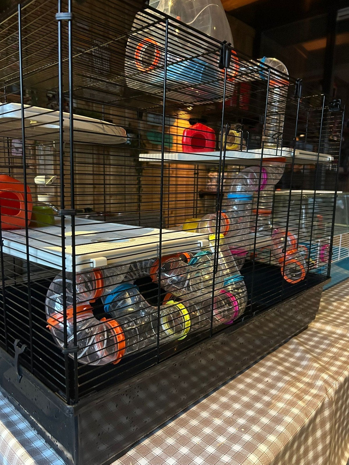 complete hamsterkooi van Ferplast, Dieren en Toebehoren, Knaagdieren en Konijnen | Hokken en Kooien, Ophalen, Kooi, 60 tot 90 cm