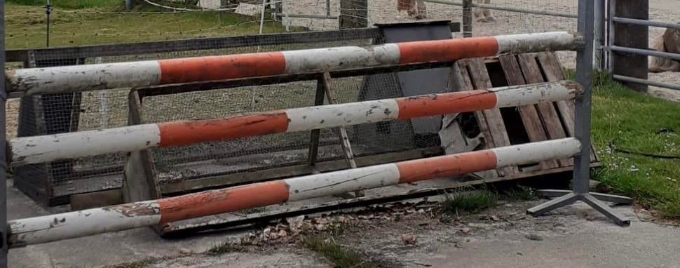 Hindernis paard springen, Dieren en Toebehoren, Ophalen of Verzenden, Gebruikt, Springen