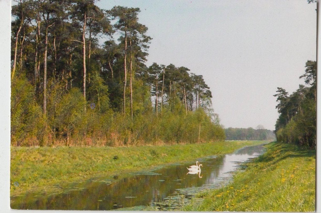 Landelijk Varsseveld Zwanen Ongelopen 1979 Zwaan, Verzenden, 1960 tot 1980, Gelopen, Gelderland