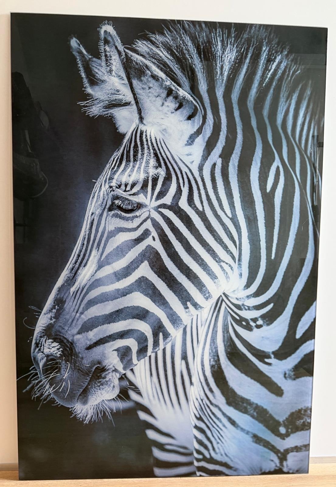 Glazen plaat met zebraprint zwart wit, Huis en Inrichting, Ophalen, 75 – 100, 50 tot 75 cm, Print