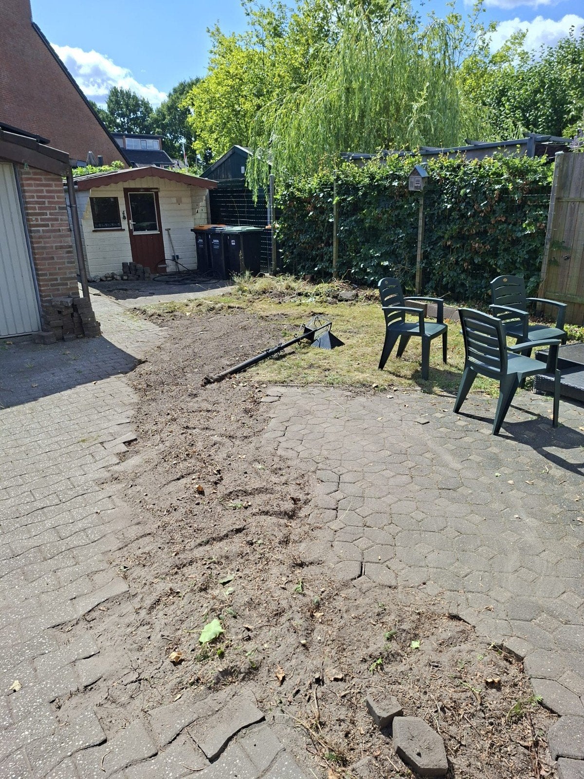 heg struik of haag weghalen of verwijderen, Ophalen of Verzenden, Taxus